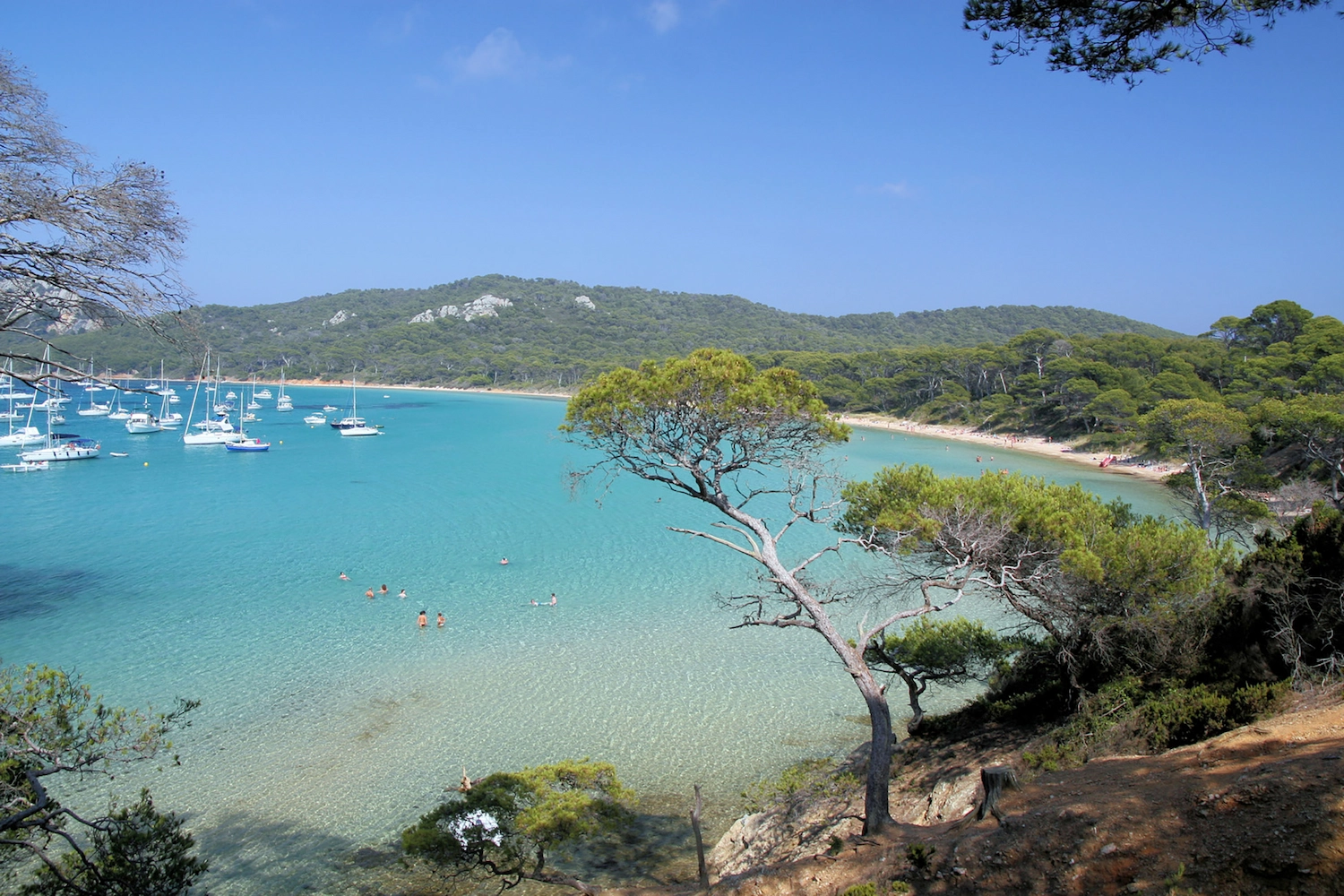 Plage de Notre-Dame à Porquerolles avec eaux turquoise, pins parasols et voiliers au mouillage dans le Var