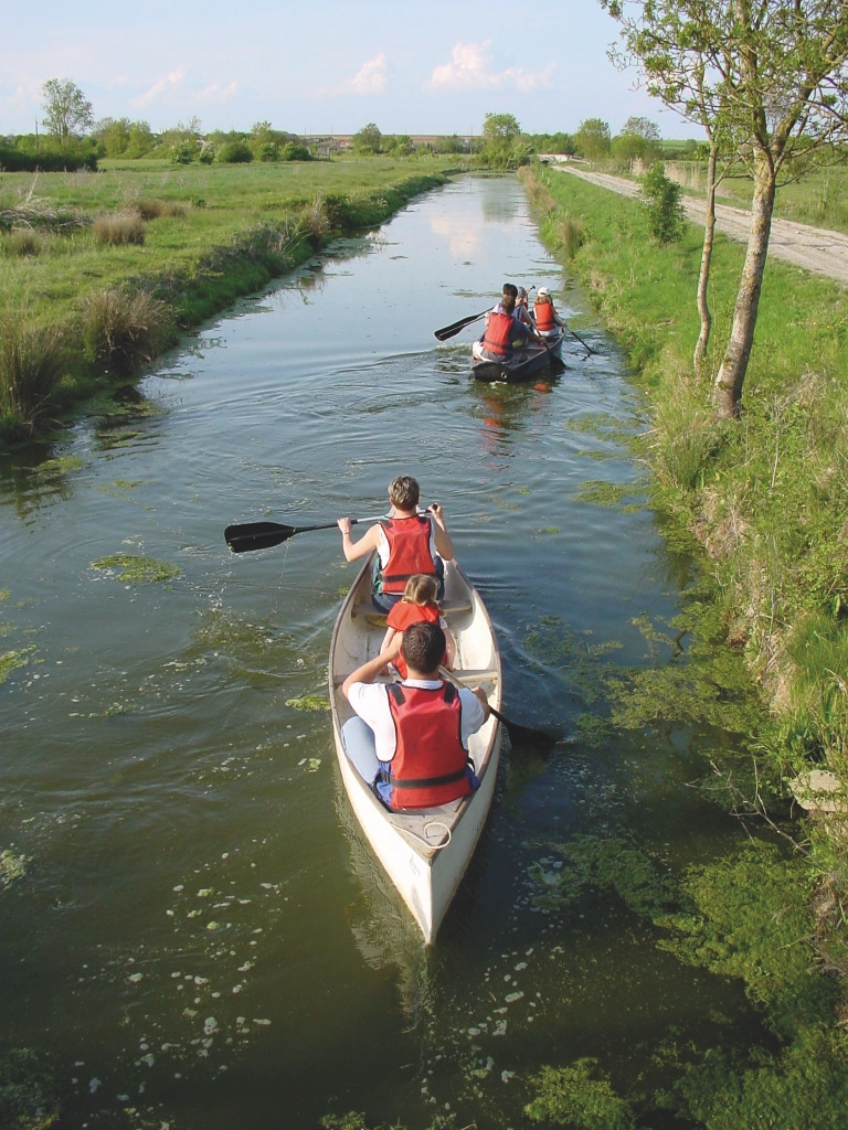 Balade en canoë en famille sur une rivière nature