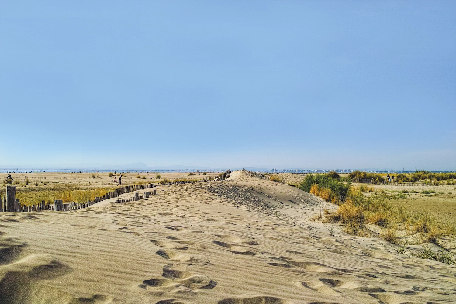 plage de l’Espiguette Grau du Roi dunes sable Camargue