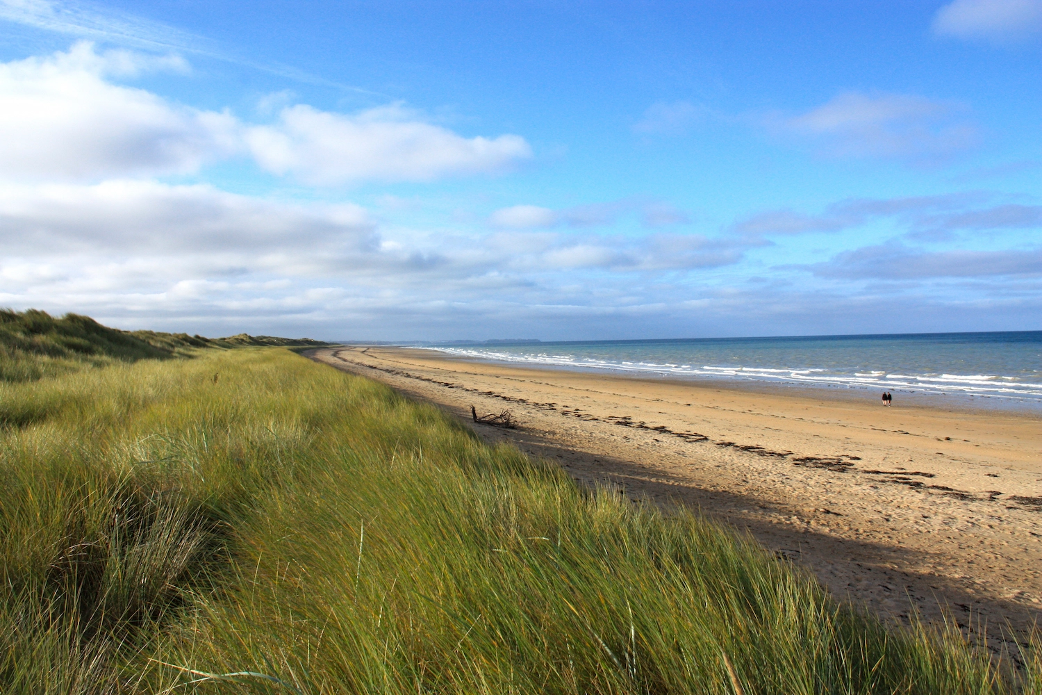 Plage sauvage d'Hauteville-sur-Mer bordée de dunes herbeuses en Normandie dans la Manche