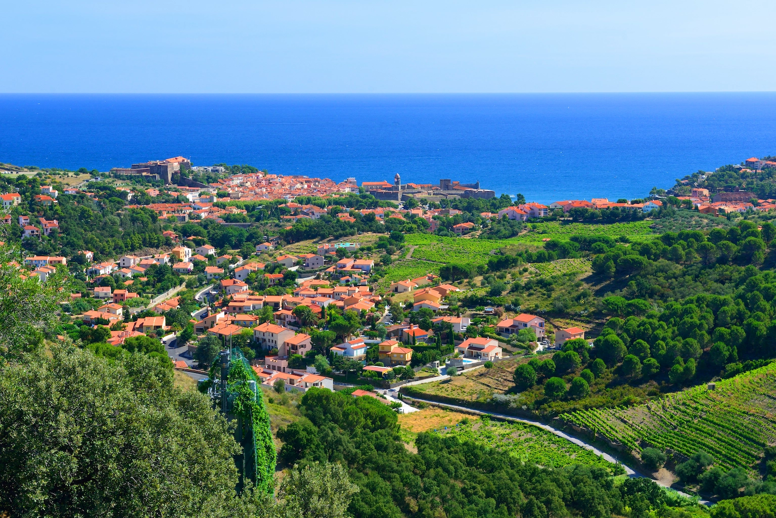 Vue panoramique sur Argelès-sur-Mer et Collioure avec vignobles en terrasses et Méditerranée dans les Pyrénées-Orientales