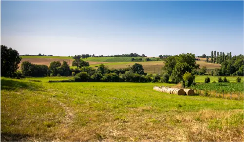 Campagne